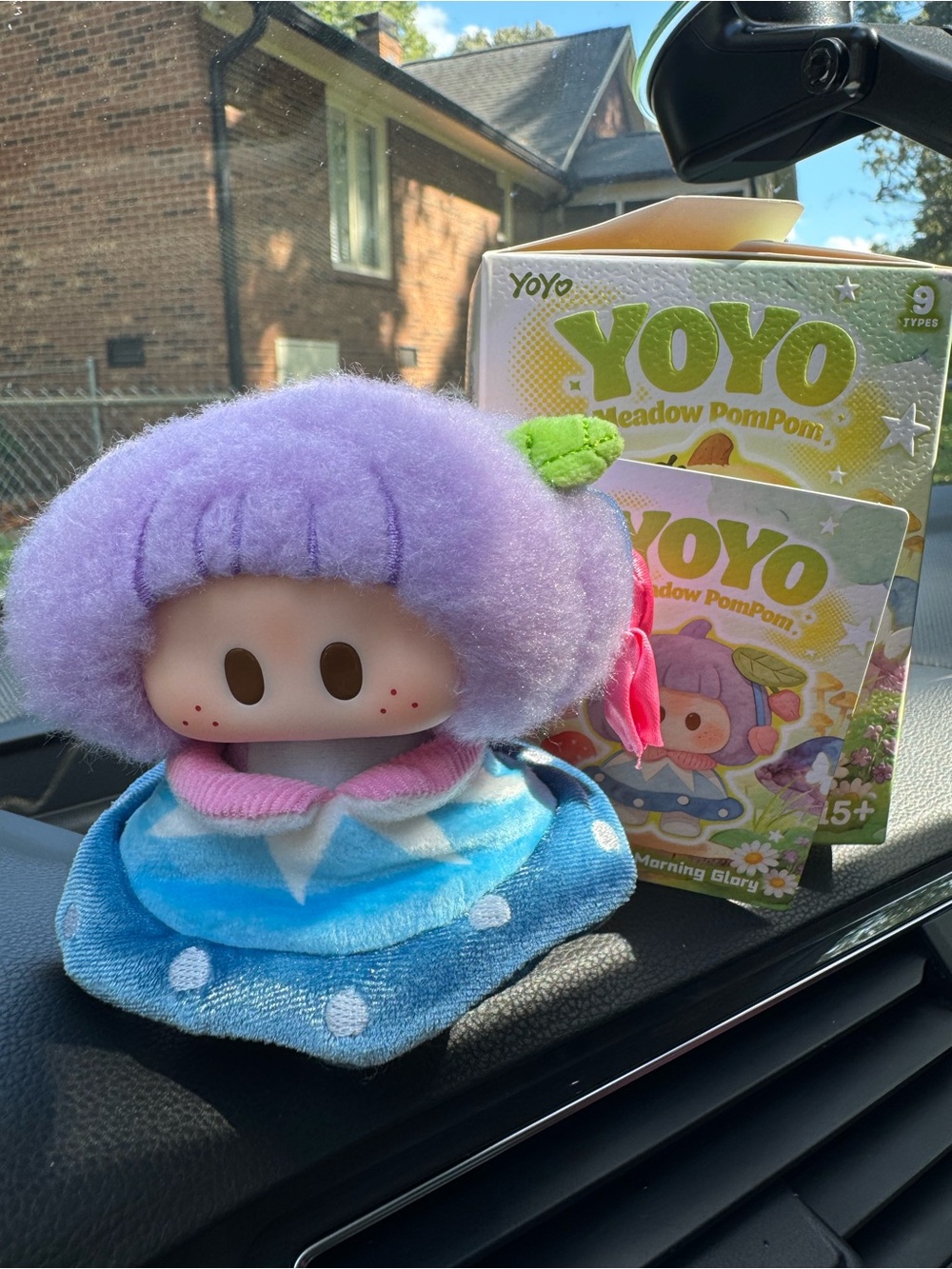 Yoyo Meadow PomPom ( morning glory )